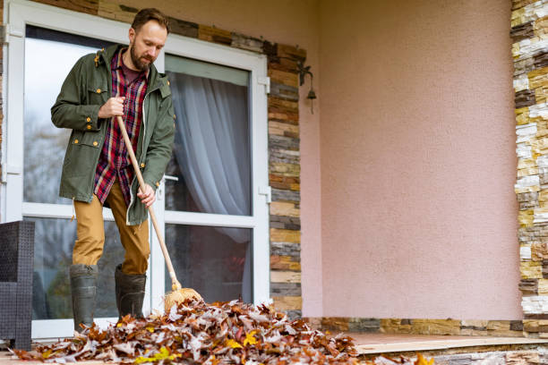 Yard Cleanup Services in Calais, ME